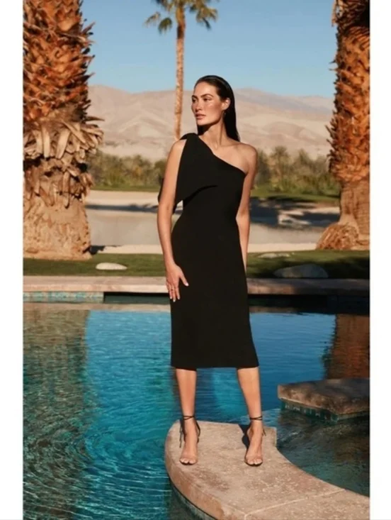 NWT Dress The Population Tiffany Black Dress - Picture 1 of 10